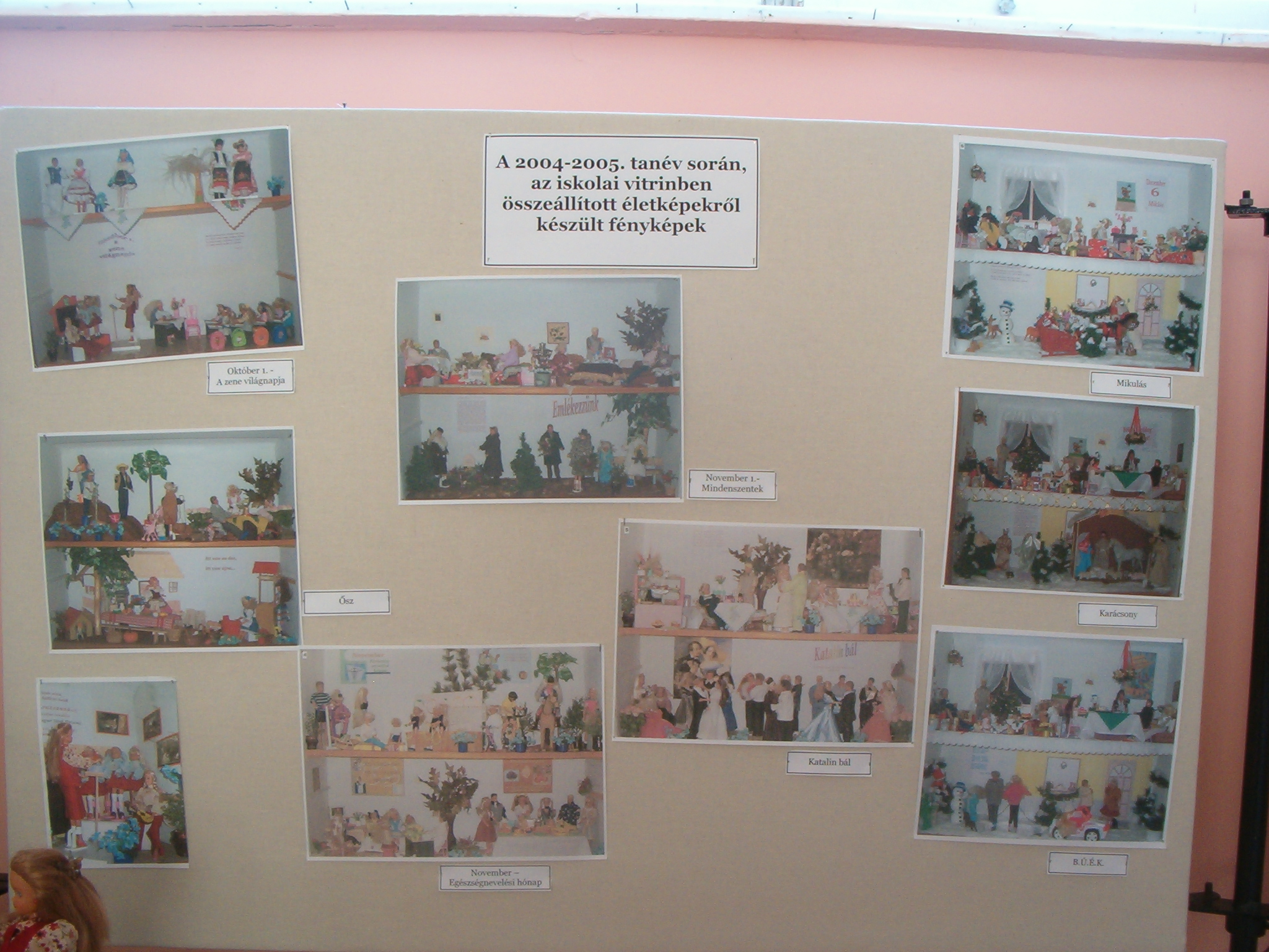 A 2004-05. tanvsorn, az iskolai vitrinben sszelltott letkpekrl kszlt fnykpekbl sszellts